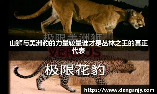 球盟会官网